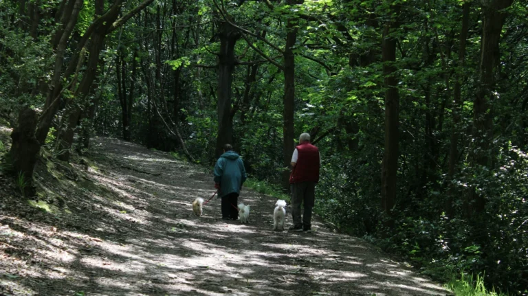 What are the biggest expenses in retirement?