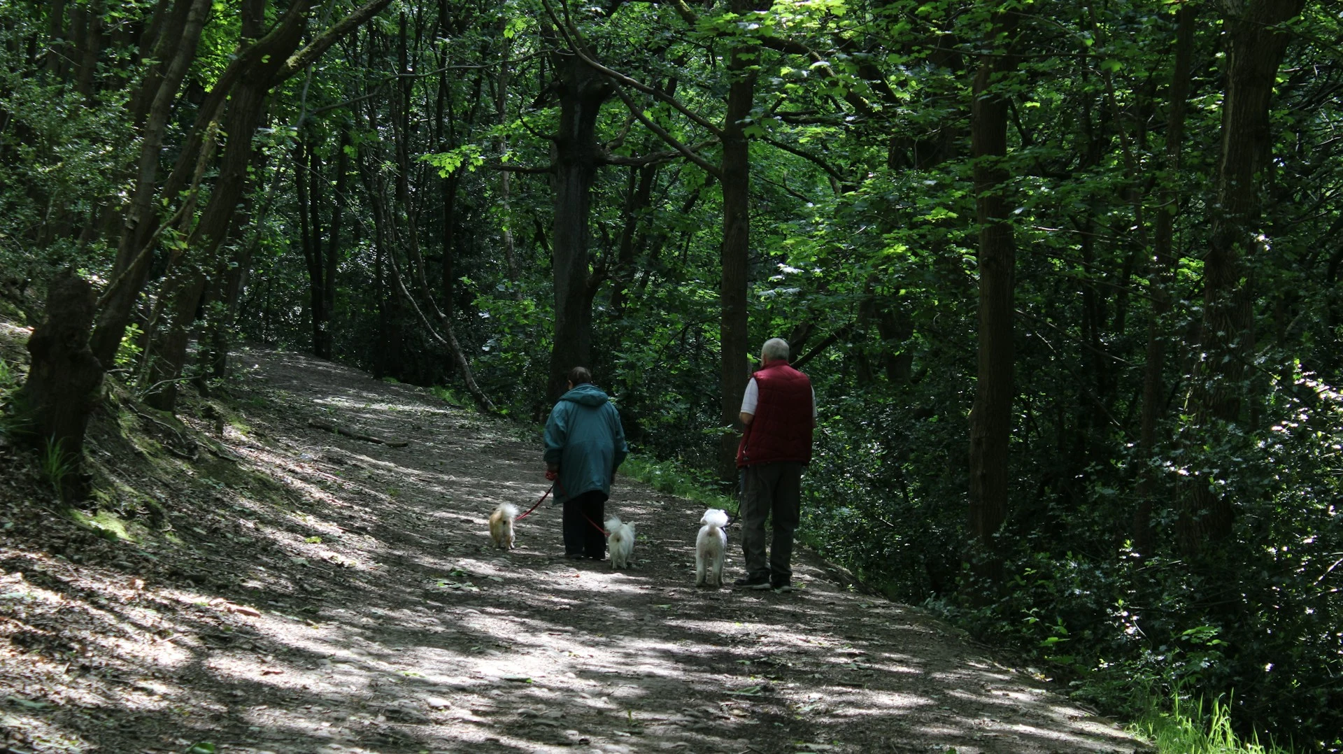 What are the biggest expenses in retirement?